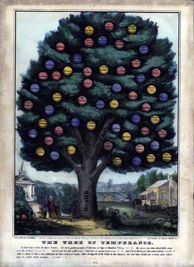 Temperance Tree